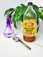 is-apple-cider-vinegar-good-for-diabetics